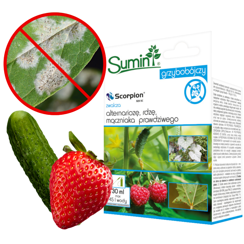 SCORPION 325 SC ŚRODEK GRZYBOBÓJCZY ZWALCZA ALTERNARIOZĘ RDZĘ MĄCZNIAKA PRAWDZIWEGO 30ML SUMIN