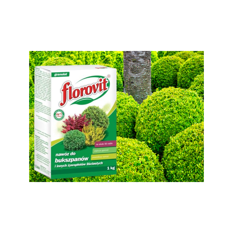 Nawóz do bukszpanu 1kg Florovit