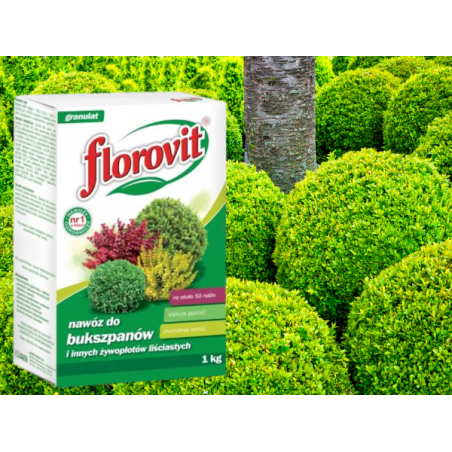 Nawóz do bukszpanu 1kg Florovit