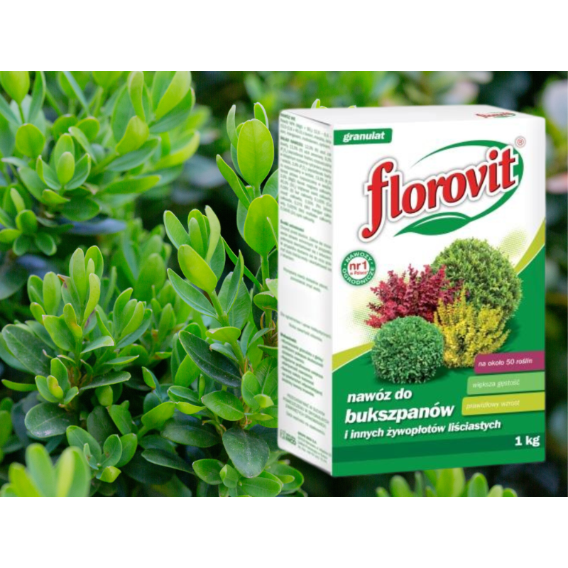 Nawóz do bukszpanu 1kg Florovit
