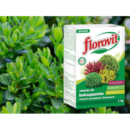 Nawóz do bukszpanu 1kg Florovit