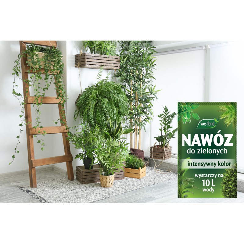 Nawóz do roślin zielonych saszetka 10g Westland