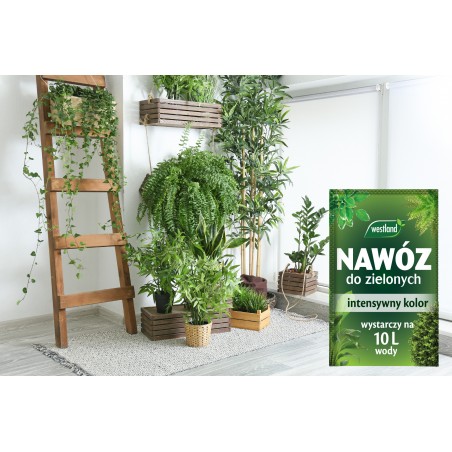 Nawóz do roślin zielonych saszetka 10g Westland