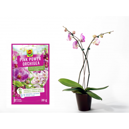 Nawóz do storczyków Pink Power granulki 20g Compo