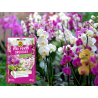 Nawóz do storczyków Pink Power granulki 20g Compo
