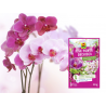 Nawóz do storczyków Pink Power granulki 20g Compo