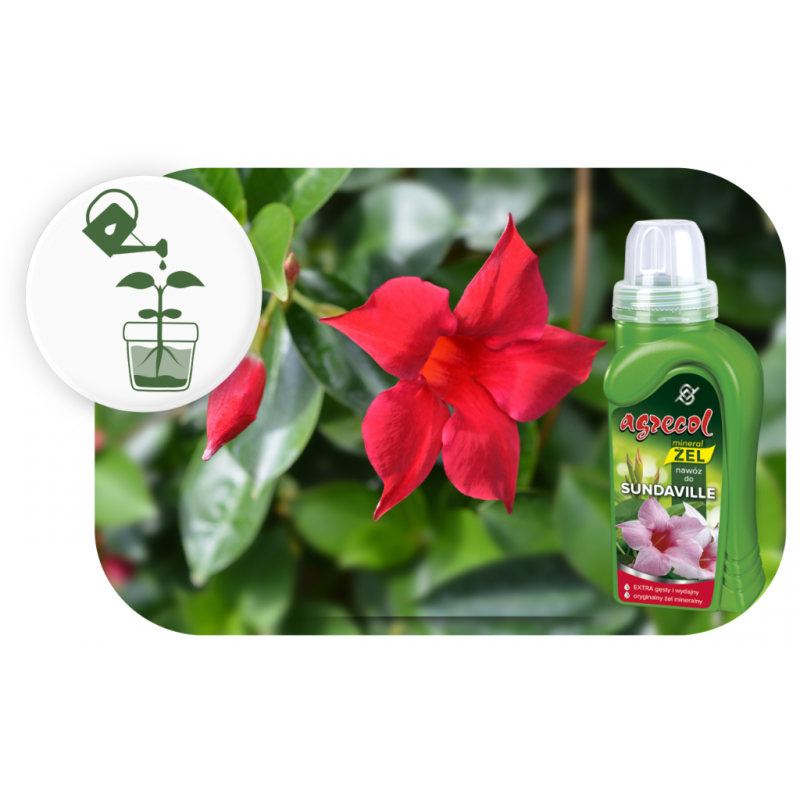 Nawóz mineral żel do sundavilli 250ml Agrecol