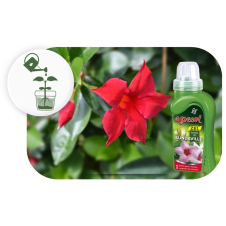 Nawóz mineral żel do sundavilli 250ml Agrecol