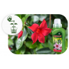 Nawóz mineral żel do sundavilli 250ml Agrecol