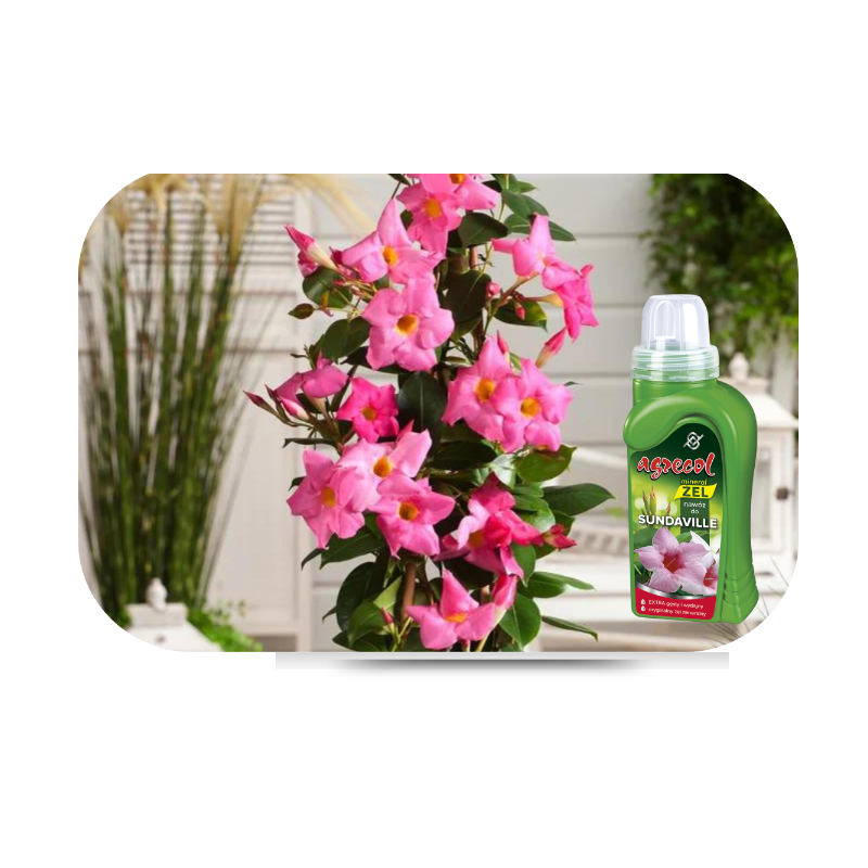 Nawóz mineral żel do sundavilli 250ml Agrecol