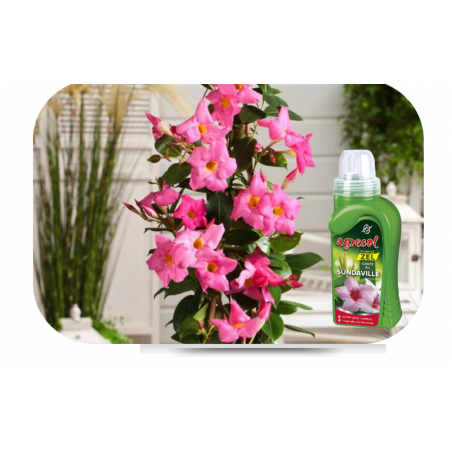 Nawóz mineral żel do sundavilli 250ml Agrecol