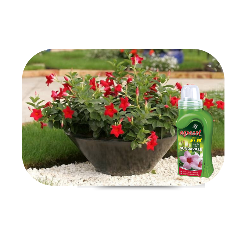Nawóz mineral żel do sundavilli 250ml Agrecol