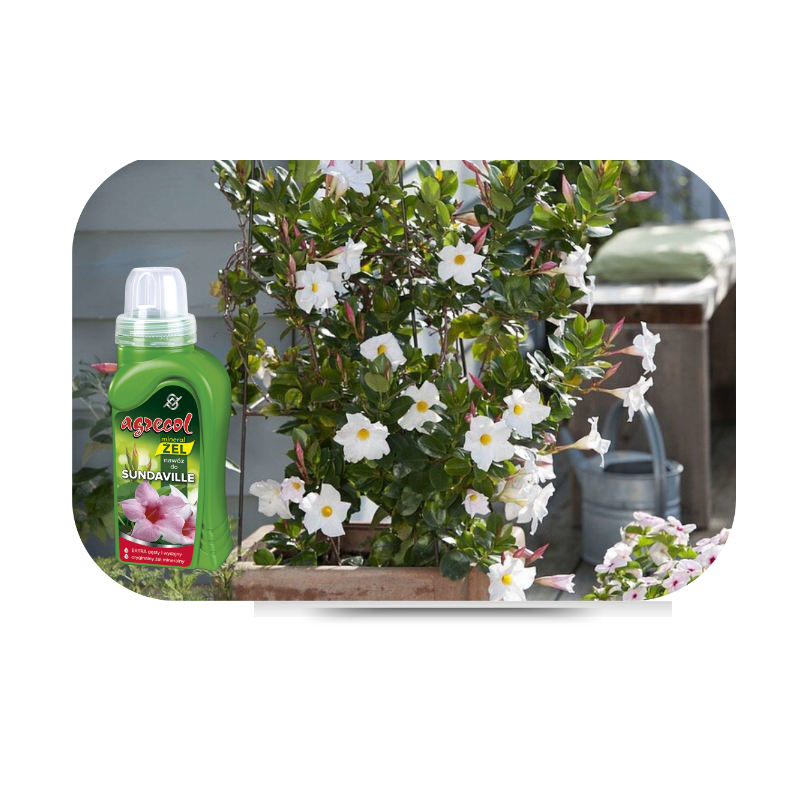 Nawóz mineral żel do sundavilli 250ml Agrecol