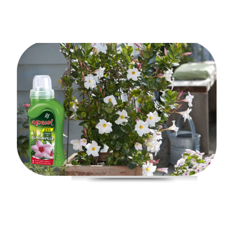 Nawóz mineral żel do sundavilli 250ml Agrecol