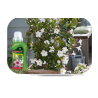 Nawóz mineral żel do sundavilli 250ml Agrecol