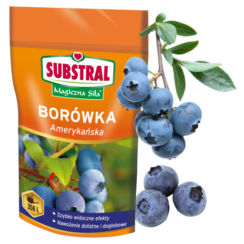 Nawóz do borówek Magiczna Siła 350g Substral