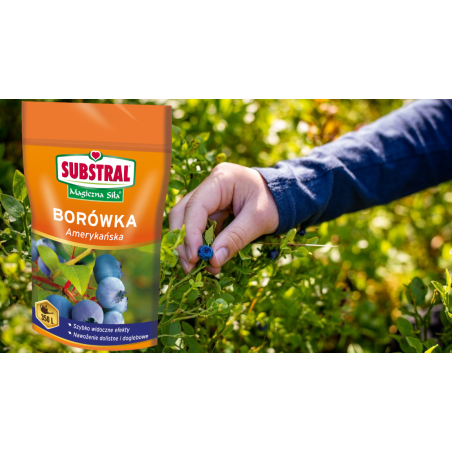 Nawóz do borówek Magiczna Siła 350g Substral