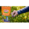 Nawóz do borówek Magiczna Siła 350g Substral