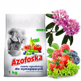 Nawóz azofoska 1kg granulat Florovit