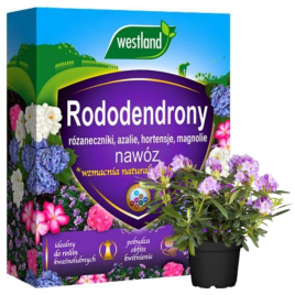 Nawóz do rododendronów 1kg Westland