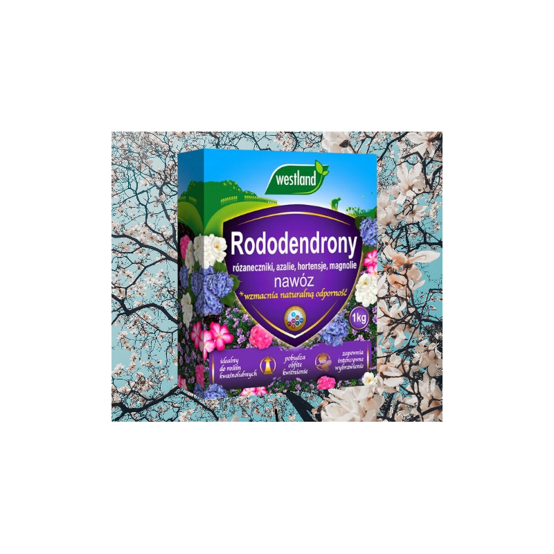 Nawóz do rododendronów 1kg Westland