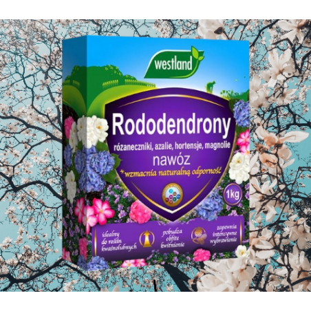 Nawóz do rododendronów 1kg Westland