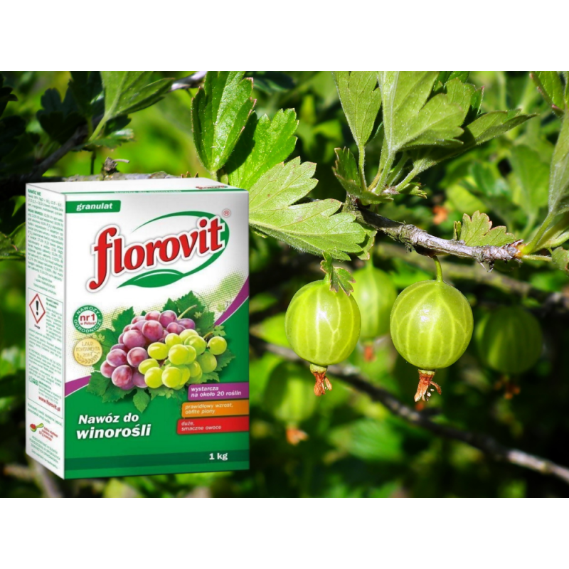 Nawóz do winorośli 1kg Florovit