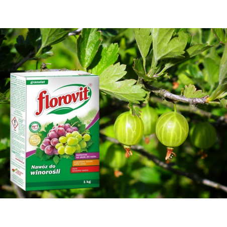 Nawóz do winorośli 1kg Florovit