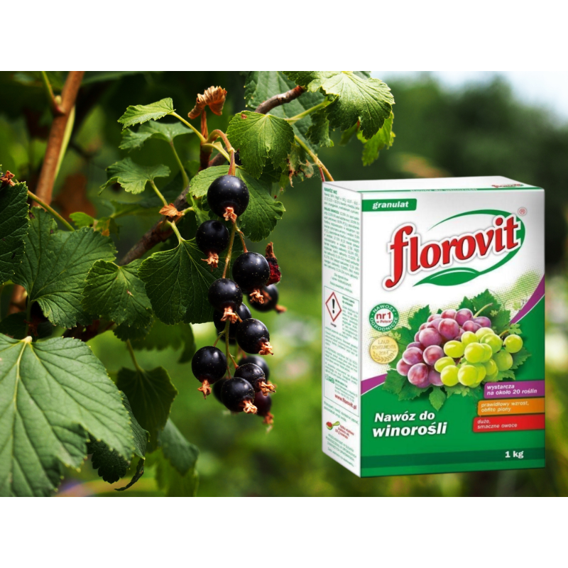 Nawóz do winorośli 1kg Florovit