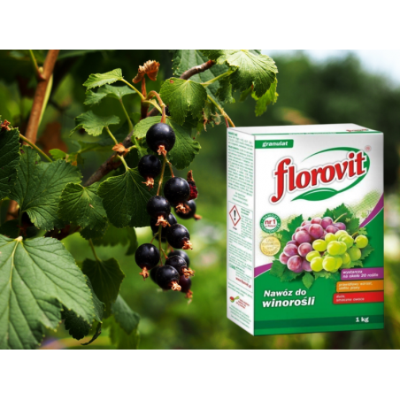 Nawóz do winorośli 1kg Florovit