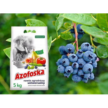 Nawóz azofoska granulat 5kg Florovit