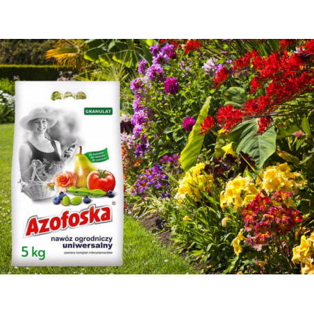Nawóz azofoska granulat 5kg Florovit