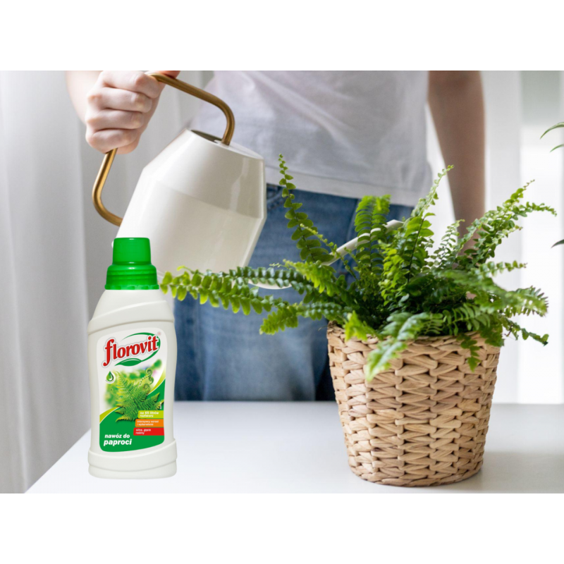 Nawóz do paproci  0,5l Florovit