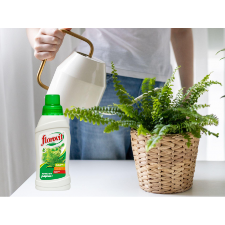 Nawóz do paproci  0,5l Florovit