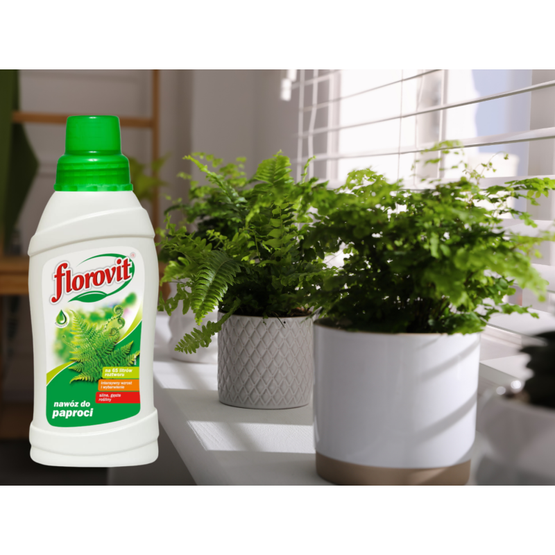 Nawóz do paproci  0,5l Florovit