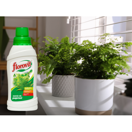 Nawóz do paproci  0,5l Florovit