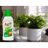 Nawóz do paproci  0,5l Florovit