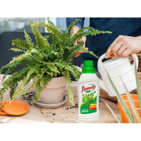 Nawóz do paproci  0,5l Florovit