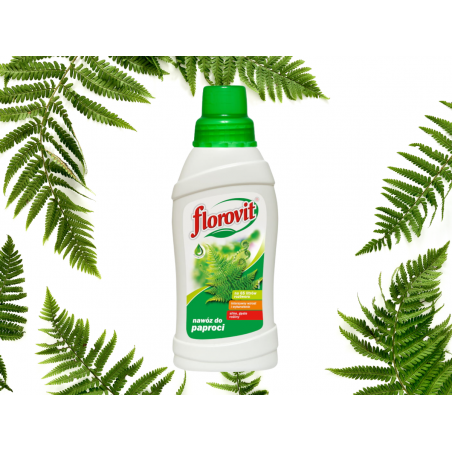 Nawóz do paproci  0,5l Florovit