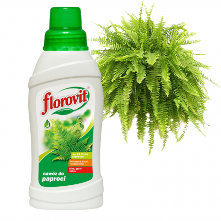 Nawóz do paproci  0,5l Florovit