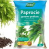 Ziemia do paproci z seramis 4L Westland