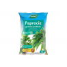Ziemia do paproci z seramis 4L Westland