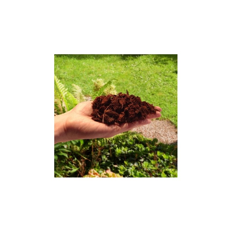 Ziemia czipsy chipsy kokosowe 5L Biovita