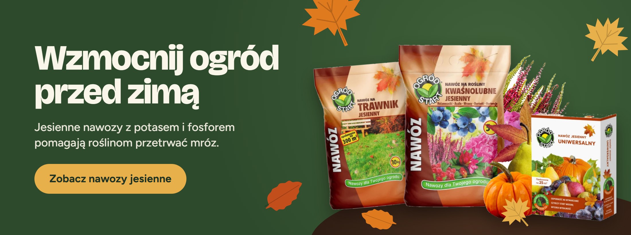 Nawozy jesienne – wzmocnij ogród przed zimą